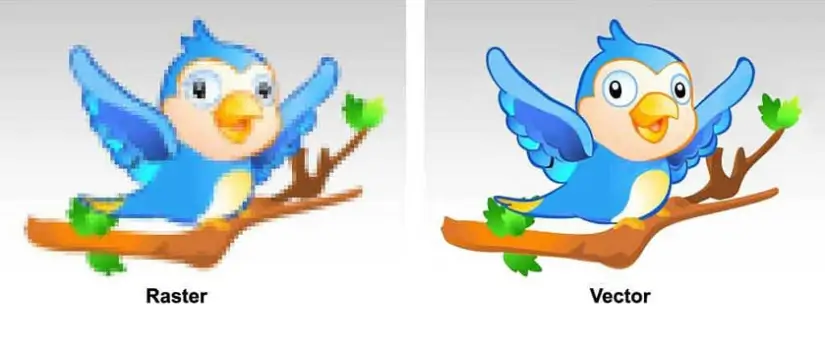 Custom Embroidered Patches